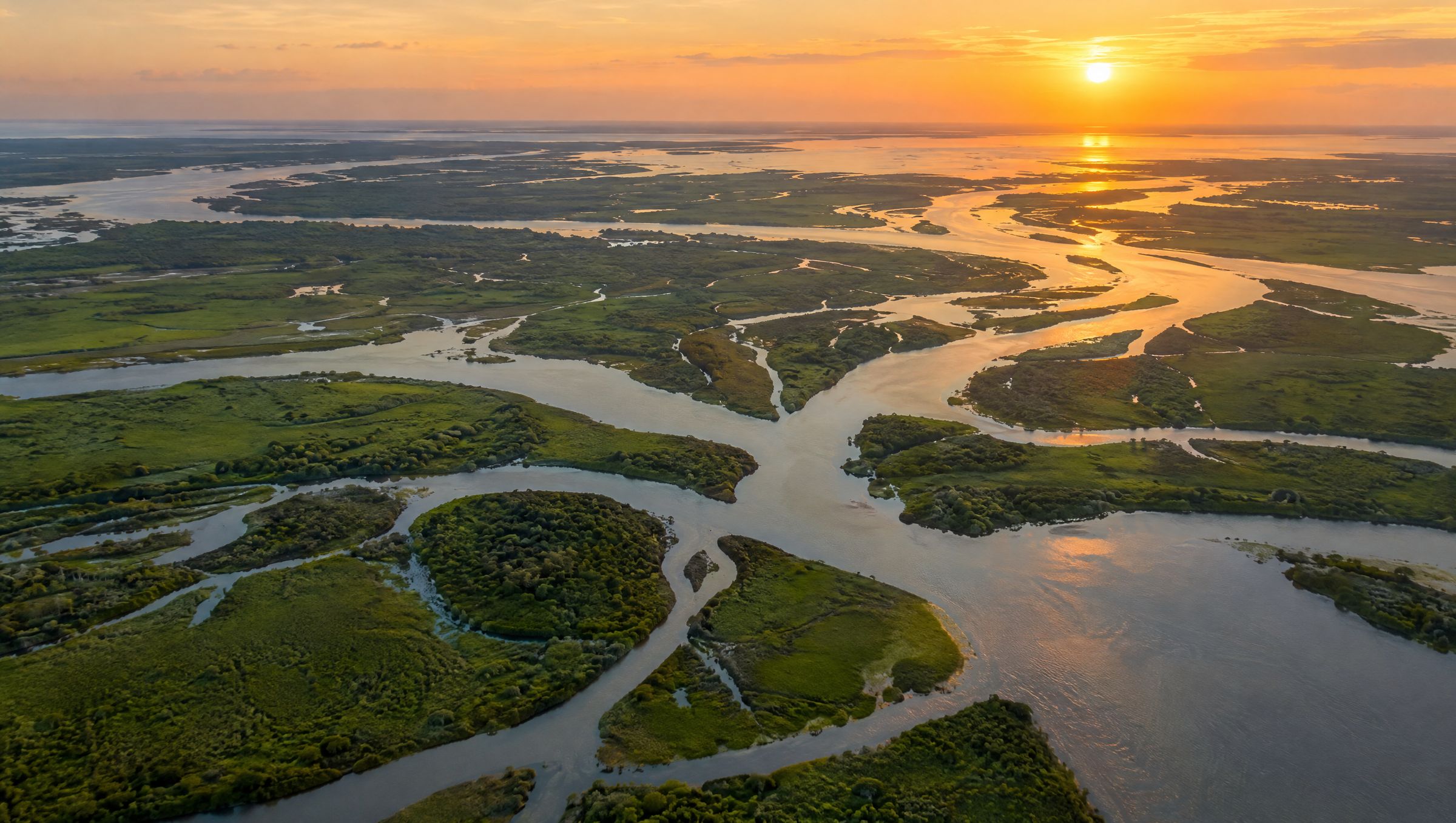 River channels branching across green wetland, seen from above at golden hour